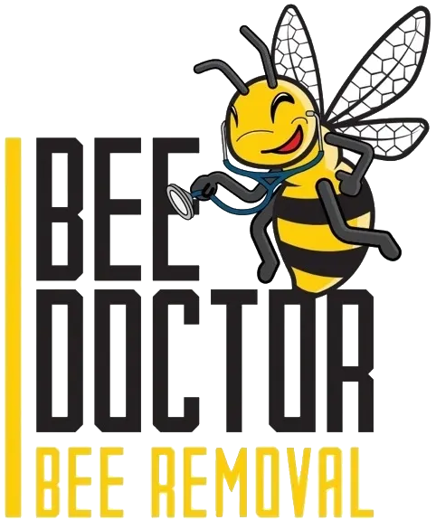 BeeDoctor Bee Removal – Pest Control Services in Temecula CA