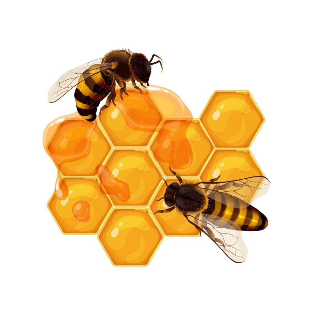 Honey Bees Professionals in Temecula CA