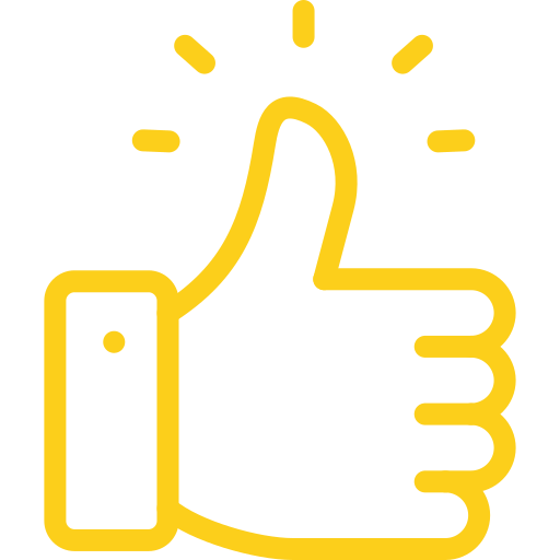 Knowledgeable and Professional Team